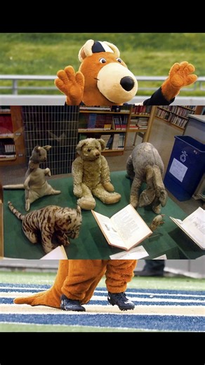 Giant Short Faced Kangaroo Short #extinction #kangaroo #extinct #animalsong #pleistocene #australia