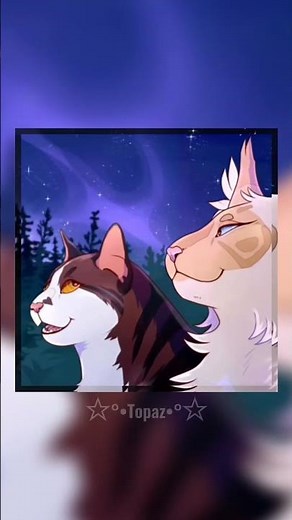 {Mothwing x Leafpool edit} #warriorcats #mothwing #leafpool #topaz