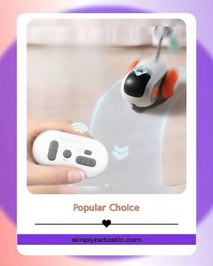 Intelligent Interactive Remote Control Mouse Pet Toy