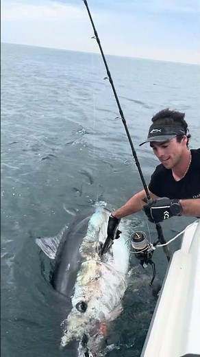 220kg on the jig!! 🤯🤯 - the Howk special one is unbeaten!! See description for more
