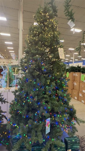 37K views · 145 reactions | Compact LED twinkle lights from Lumineo are available, featuring strands of 500 or 1000 lights in multicolor or warm white. | Carolina Pottery | Facebook