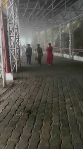 TRAIN Raider on Reels