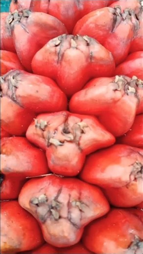 Hala fruit🍍🍎🍓🍇 #vlcreations6046