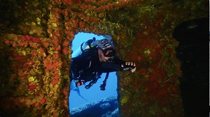 45K views · 237 reactions | Experience the thrill and excitement of scuba diving and become a NAUI Scuba Diver. [Sponsored] | Sport Fishing Magazine | Facebook