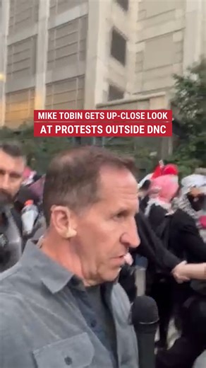 Watch as Fox News' Mike Tobin gets first-hand look as anti-Israeli protesters push against the police line outside of DNC. | Fox News