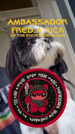 TOP SECRET: The Ewok Ambassador's Forbidden Discovery