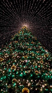 Wowwwwww🤩🤩🤩🎄🎄🎄#christmasimages#christmasmagic#christmasiscoming#beautiful#christmastree#christmaslights#wonderful_location#wonderful_places#christmasmagic#christmaslights#reels#reelsvideo#reelsinstagram#amazing#tagforlikes# | Christmas love _Comet and Dancer