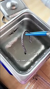 “Ultrasonic Cleaning: The Tech That Blasts Dirt Off Instantly!”