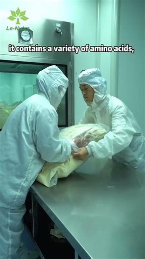 The production process of hydrolysed pea protein#factory#skincare#funny #health#natural#beauty #oem