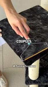 790K views · 6.8K reactions | Random Facts You Might Not Know.. | Untold Facts | Facebook