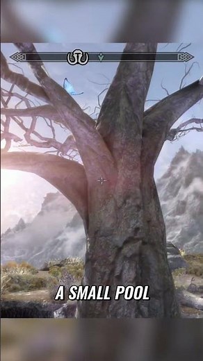 Skyrim: Get THIS OP Potion at Level 1! #skyrim #gamingtips