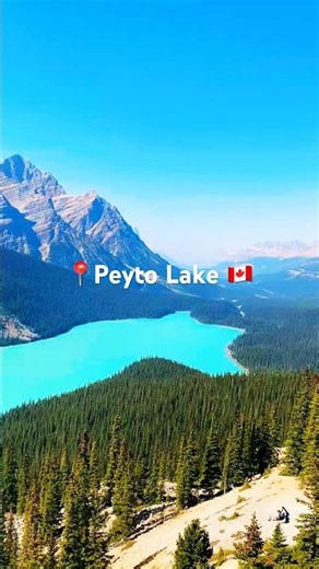 Peyto Lake 💙 The Most Turquoise Lake in Banff National Park 🇨🇦 #shorts #canada #travel