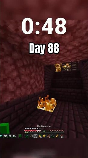 Day 88 of playing minecraft 1 minute a day