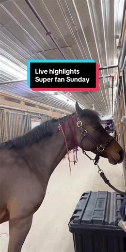 Super Fan Sunday Highlights & Fun Moments