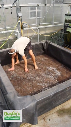 🏆 BEST OF 2025 🏆 Dirting and Planting an 8' by 8' basin of VALLISNERIA!