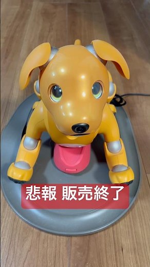 SONYのアイボが国内販売終了しました【悲報】Sales of Sony's aibo robot have ended.#aibo
