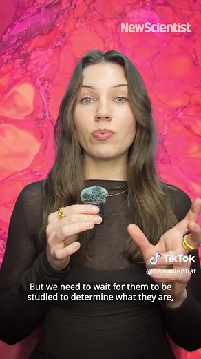 Understanding How to Prove Alien Life Exists