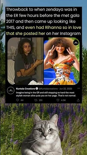 Zendaya's MIND-BLOWING Met Gala 2017 Comeback After ER Visit!