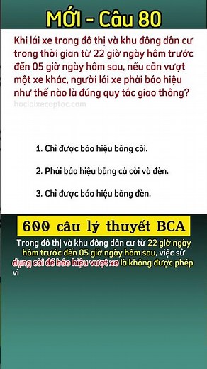 80 - Tips to learn 600 NEWEST theory questions 2025 (BCA) | Quick Learning Tips