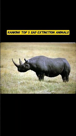 Ranking top 5 sad extinction animals from last 125 years #extinction #animals #nature