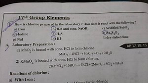 17^{\text {th }} Group Elements 1. How is chlorine prepared in ... | Filo