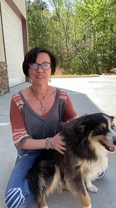 178K views · 3.7K reactions | A quick and easy way to create a $2.00 leather dog collar. | The Shabby Tree | Facebook