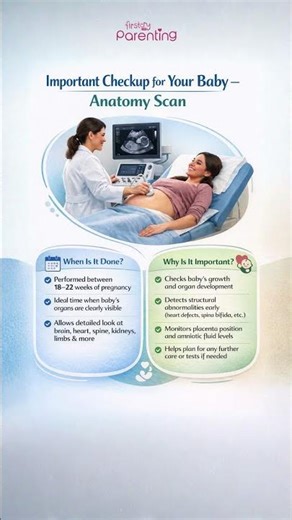Anatomy Scan in Pregnancy ( 20 Weeks Scan) - What to Expect