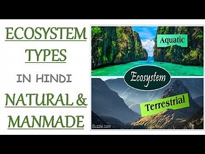 Classification of Ecosystem - Natural & Man-made (In Hindi)