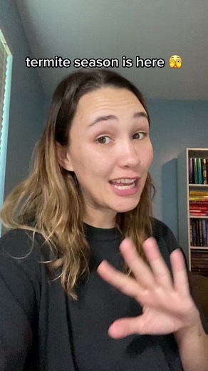 Best Ways to Prevent Termite Damage