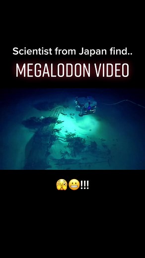 Megalodon Found? Giant Shark Spotted in Mariana Trench