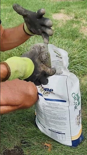 🌲 How to Plant Trees 🌲With Kaleb Wyse | Wyse Guide! 🍁