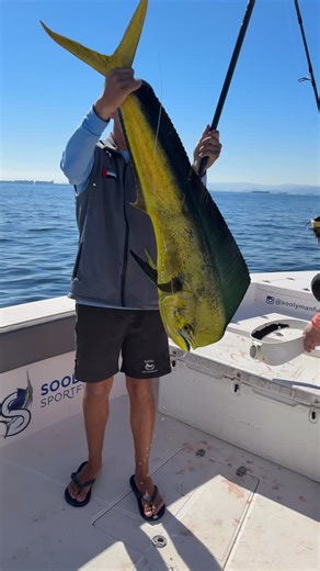 Fishing Dubai | Fishing Fujairah | Fishing in UAE on Instagram: "Every day we are working in the sea and getting big fish 🐠 #mahimahi #ruslanfishingdubai #fishingtrips trips"