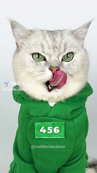 Cat Chef Inspired by Squid Game