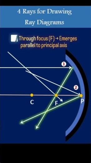 4 Rules for ray diagrams class 12 class 10 CBSE/SEBA #animation #optics #physics #ahsec #class12
