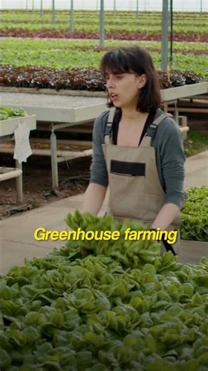 Turn Land into Income: Greenhouse Farming 2026