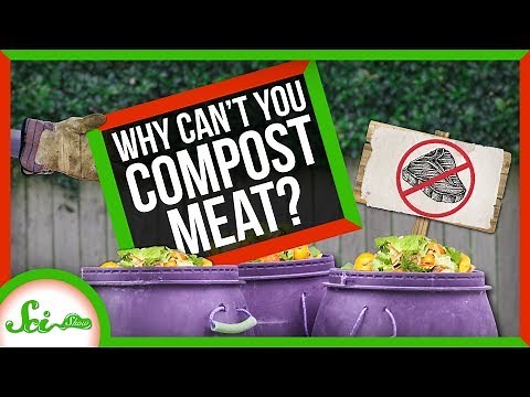Why Can't You Compost Meat?