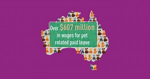 8K views · 13 reactions | Aussie pet owners use over 20 million hours...