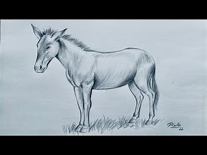 How to draw a donkey step by step