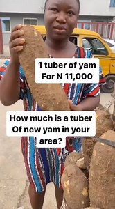 How much is a tuber of Yam in your area 🤔 #allfactsnewspaper | All Facts Newspaper