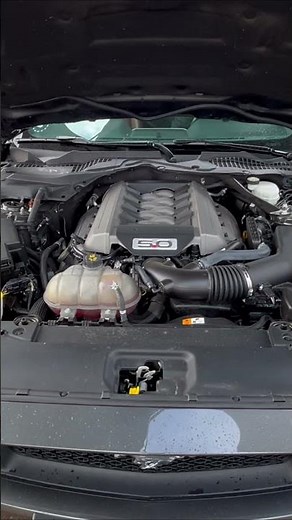This V8 Sounds INSANE 😳 Ford Mustang GT 5.0 🔥