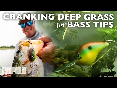 Rapala® | Cranking Deep Grass for Bass Tips
