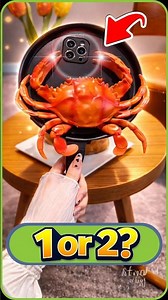 Which SpongeBob SquarePants phone case would you choose? #phonecase #spongebob #2026