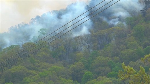 40-acre House Mountain fire is 60% contained