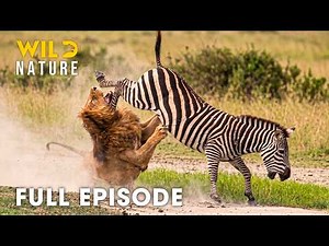 Botswana (Full Episode) | Survival Battles in the World’s Deadliest Migration | nature documentary