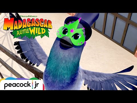 Pitch Perfect Pigeon Performances | MADAGASCAR A LITTLE WILD