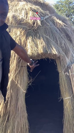 TikTok - Make Your Day