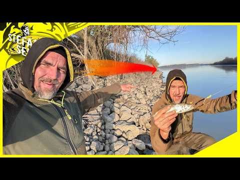 Rocky terrain or campsite ⛺️ | Which fishing spot will bring us the biggest fish?