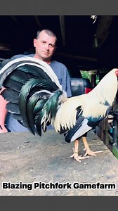 210K views · 5.3K reactions | Part # 1 Hybrid vigor. Why Breeding...