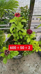 7.4K views · 83 reactions | Math Test solve it Math | M Mathematics | Facebook