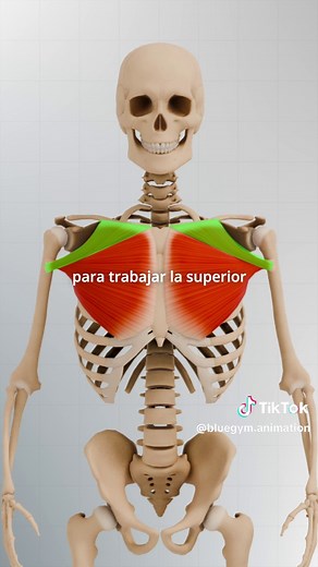 Entrenamiento de Pecho con Flexiones: Rutina Calistenia